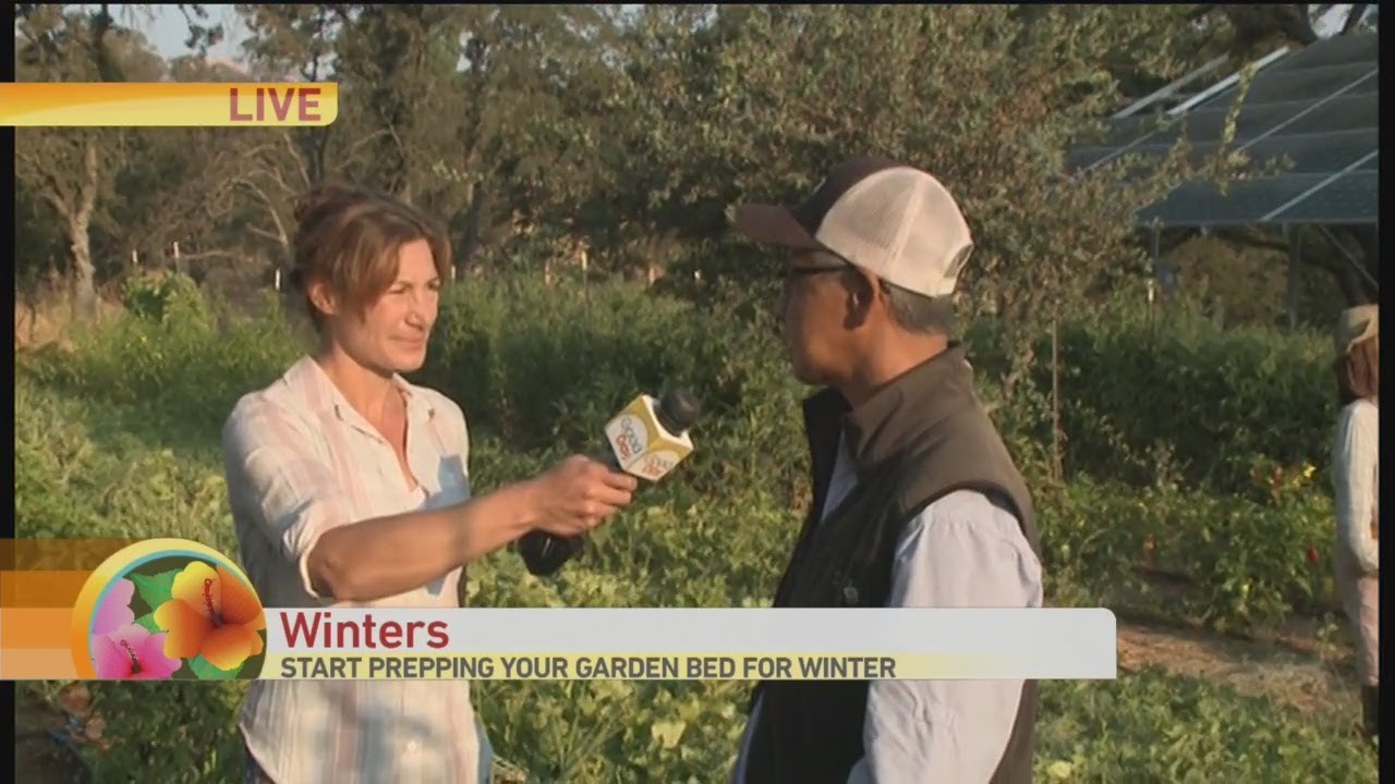 Marlene the Plant Lady YouTube