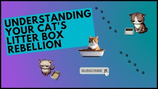 Cracking the code : Understanding your cat's litter box rebellion
