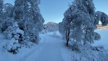 Arve Henriksen & Terje Isungset: "The Pilgrims way"  2020.