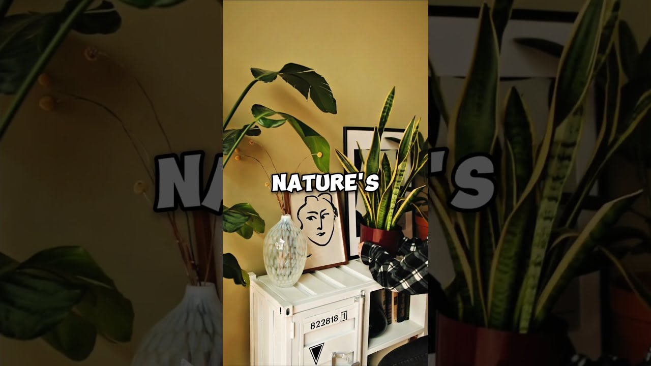 THESE ARE THE FIVE MOST USEFUL PLANTS IN Plants Healingplants Airpurifierplant Shorts