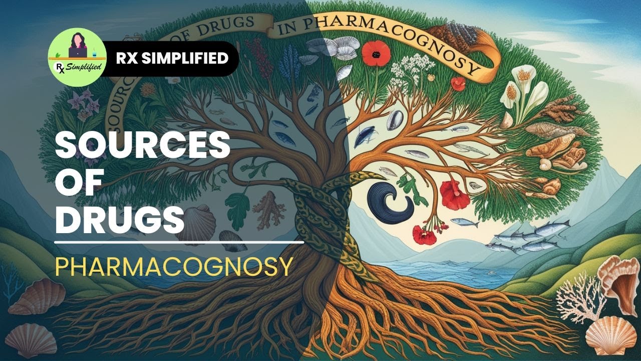 Sources Of Drugs In Pharmacognosy YouTube sources-of-drugs-in-pharmacognosy-youtube
