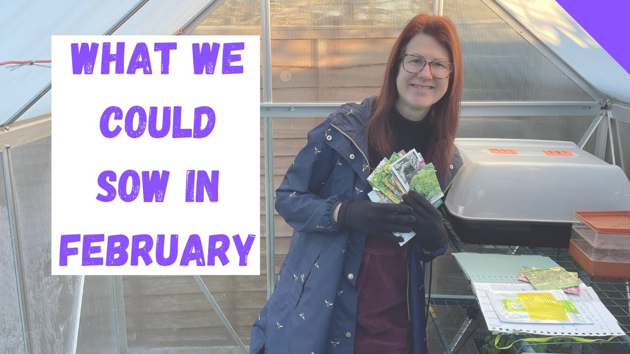 What To Sow In February - Allotment Gardening For Beginners UK - YouTube