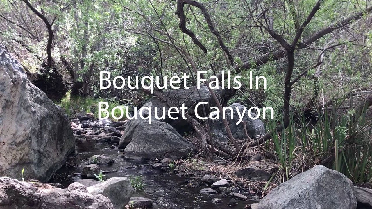 Bouquet Falls in Bouquet Canyon Near Santa Clarita YouTube