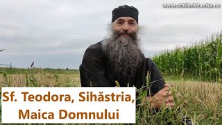 Sf Teodora de la Sihla, Sihastria, Maica Domnului - p. Pimen Vlad