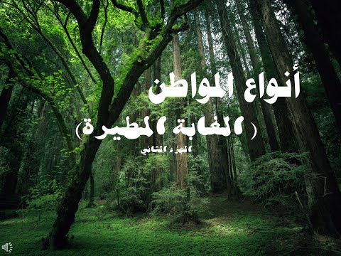 أنواع المواطن ( الغابة المطيرة ) الجزء الثاني