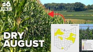 Dry August raises concerns for some Ohio farmers