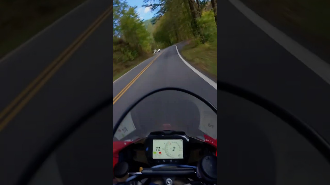 Ducati V4R Leaf Cleaning #tailofthedragon  #freebird  #ducati  #ducatipanigale #shorts #superbike