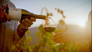 MEYRON Wines | Red, White, Rose - Yerevan, Armenia