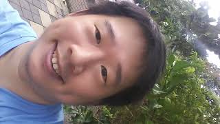 两心知 原唱 黎明 Leon Lai