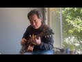 Alison  (Elvis Costello Jazz Guitar Cover)