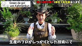 苗木の専門店】グリーンでGO！with カーメン君 (グリゴー本店