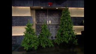 Late Night’s Talking Christmas Trees | Late Night With Conan O’brien