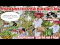 Perdana panen raya setelah pulang liburanpanen 2 macam tomat2 macam terongtimun dan kangkung