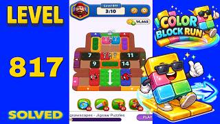 Color Block Run – Level 817 | Walkthrough