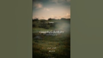 قران كريم ارح قلبك وسمعك #quran #قران #المصحف #yasseraldossary #ياسر_الدوسري @قران_في_دقيقة