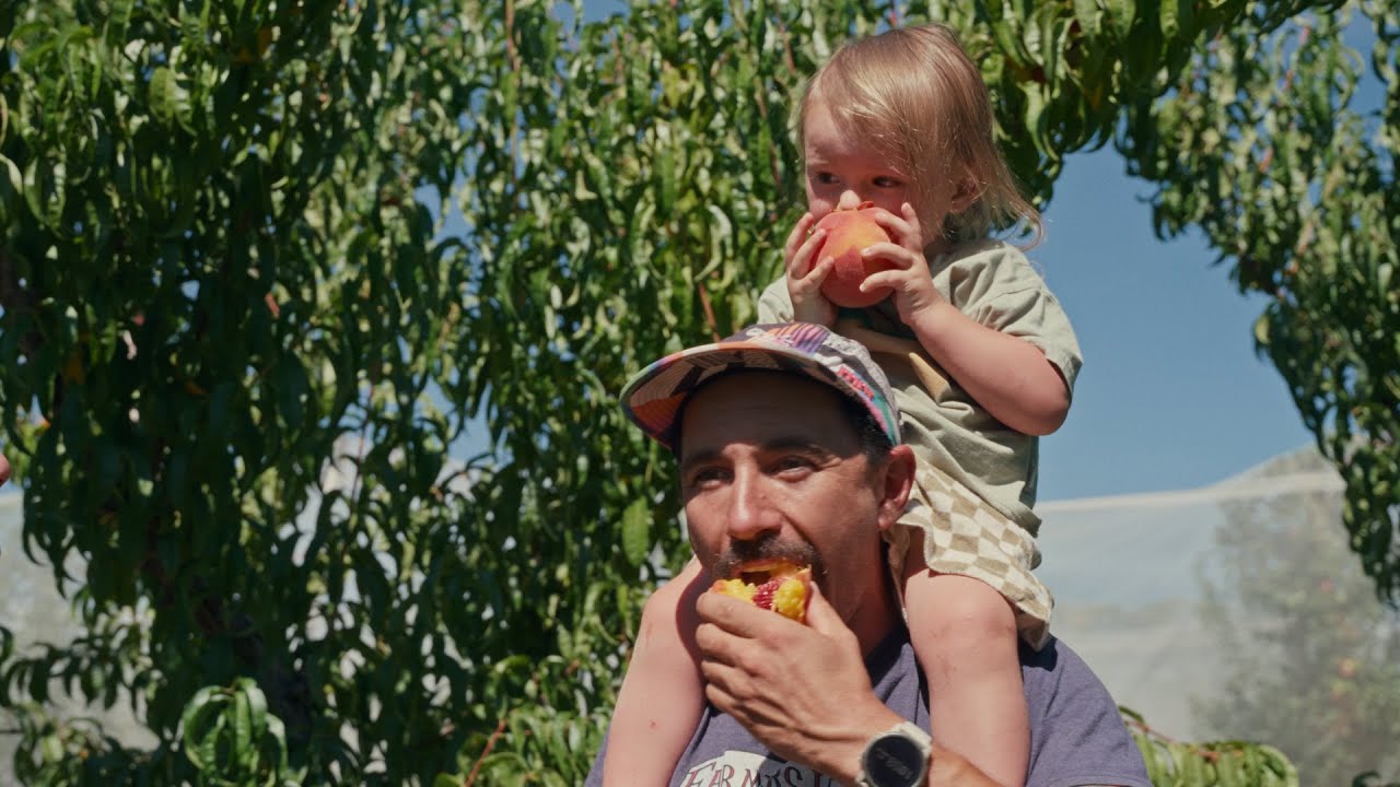 Topp Fruits Farm Tour and Interview