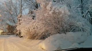 Appleton snow day Feb 2021