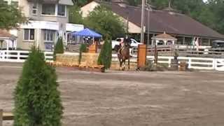 Middlesex Hunter Derby - Otto