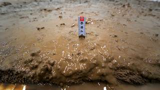 Almost 10 Inches of Mud? This Fluffy Shag Rug Was a Complete Disaster – Carpet Cleaning ASMR screenshot 3