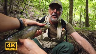 Il Colpo Del Maestro - 40 Cm In Microtorrente