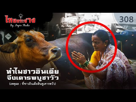 วีดีโอ: ทำไมวัวอินเดียถึงมีโคก?