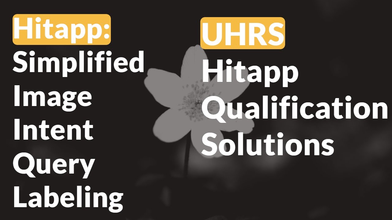 Simplified Image Intent Query Labeling-UHRS Hitapp qualification test solution