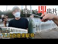 平日の弾丸南港魚釣り園ショアジギング