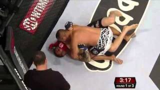Dan Henderson Vs Renato Sobral highlights