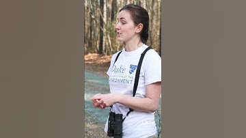 Changing Climates Impact Birds #shorts