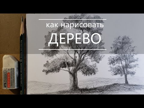 Как нарисовать дерево карандашом поэтапно