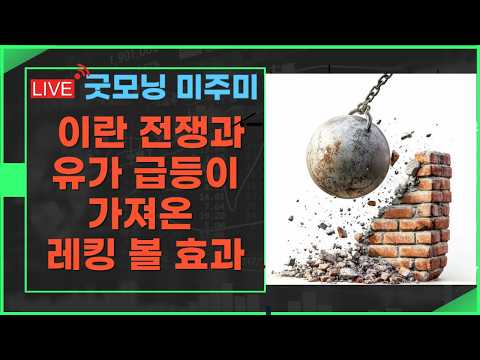 [굿모닝 미주미]  반도체 최악의 3월, 어디까지, 엔비디아 결국 약세장 진입 수모  #미주미 #이항영