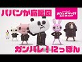 パパンがパンダ！｜パパンが応援団 ～ガンバレ！にっぽん篇～