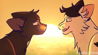 IDFC//Warrior Cats (Коты Воители)