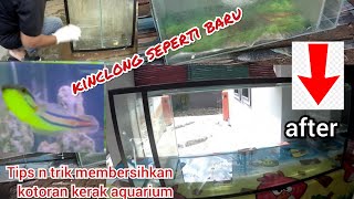 Membersihkan aquarium bekas yang kotor dan memancing ikan untuk aquarium kesayangan