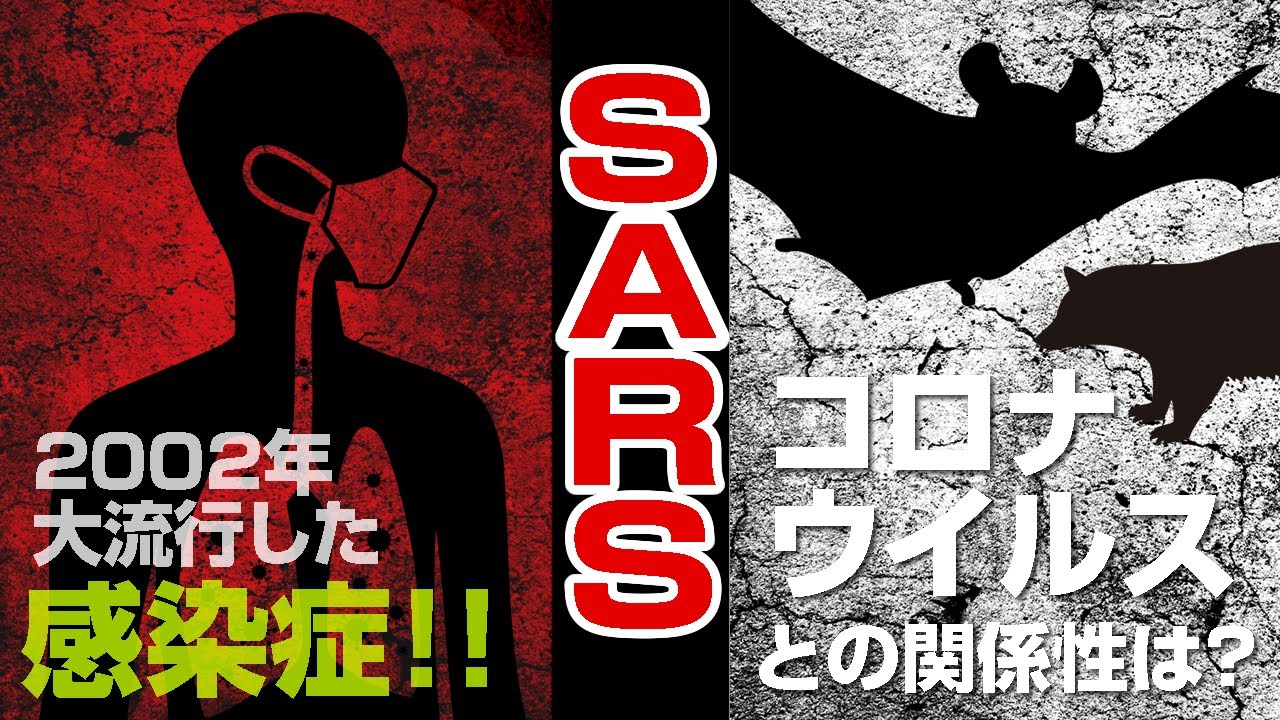 【まんが感染症の歴史】2002年に大流行した、SARS - WHOが史上初の渡航自粛勧告を発令