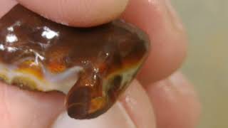 Celebrity Carving Agate with Mark ~ Slaughter Mountain Fire Agate Pre-form Net Worth