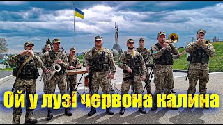 З Днем Незалежності Україно! ОЙ У ЛУЗІ ЧЕРВОНА КАЛИНА!
