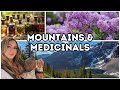 Mountains and Medicinals | A busy yet beautiful day 🪴