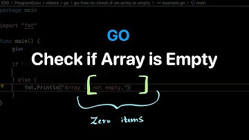 How to check if an Array is Empty in Go language? Examples | ProgramGuru.org