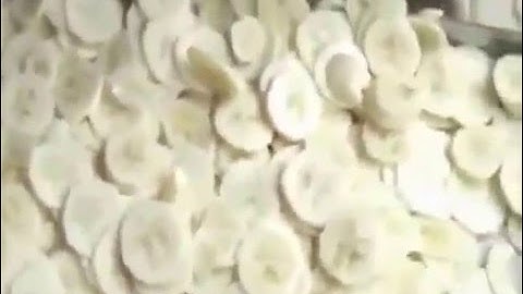 máy cắt chuối làm chuối sấy, máy thái lát chuối chín tự động CHD 80 Lh  0909134877