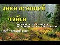 Лики осенней тайги.Поход в тайгу в поисках пещеры и мой таёжный быт