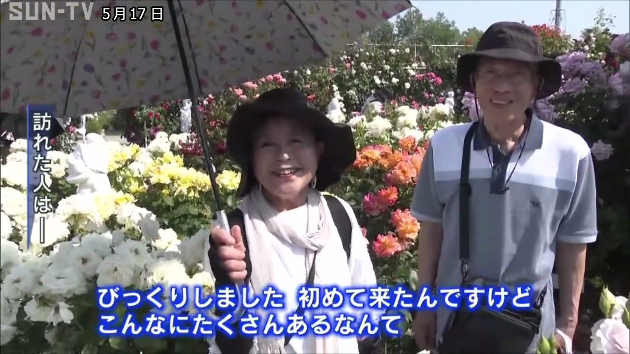 薔薇の花、パンジー　額紫陽花の3点セット　ゴードンさん 750 Varieties and 3,300 Roses in Full Bloom at Himeji Rose Garden