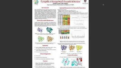 Optimizing Parameters for Phenix Ensemble Refinement of Cyclophilin A (Introduction Video)