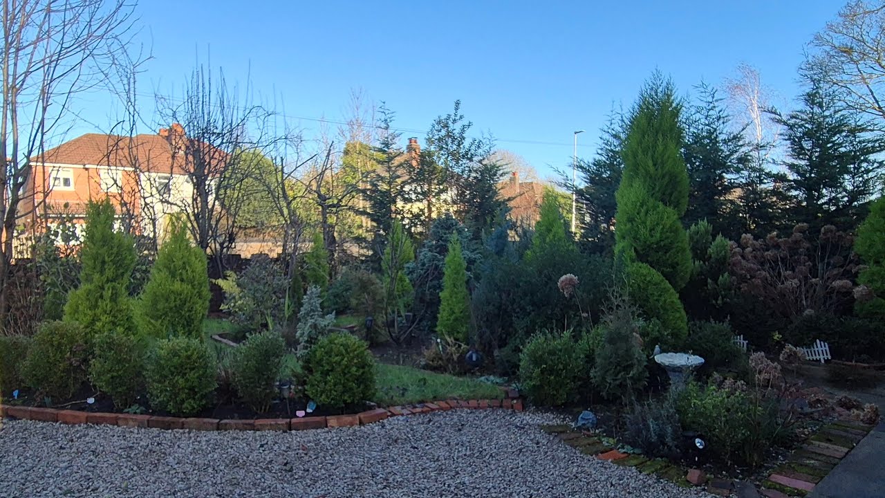 Garden transformation journey