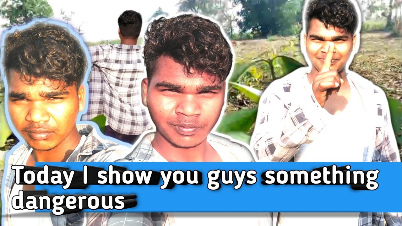 Today I 🌿🌿🌿🐝am seeingb || Tendupatta which 💓💓🤡🤡😘😈😍😍 is very dangerous  ....???