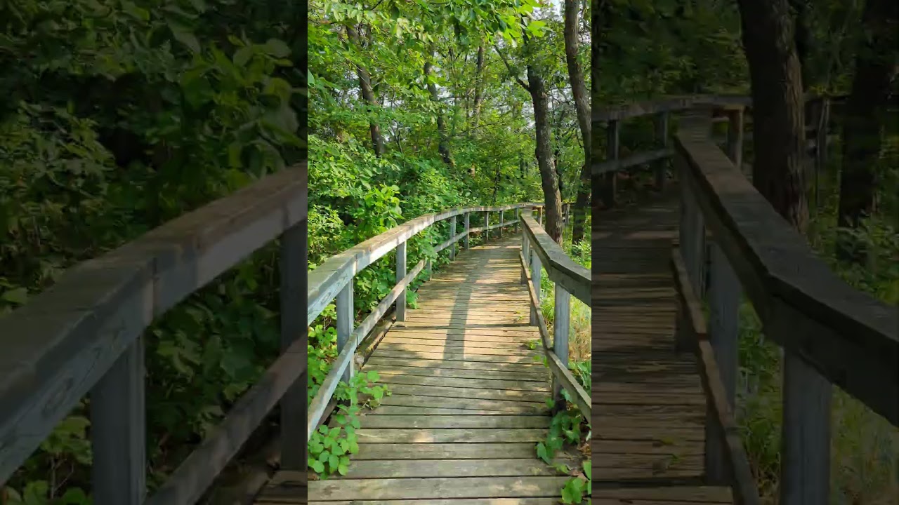 Sleeper State Park Time Lapse