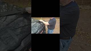 Easy Bug Deflector Install on 2025 Ram 1500!