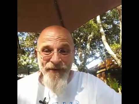 Hot dog cart or food truck/trailer? - YouTube