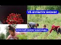 Кулпунай эккен үй-бүлө