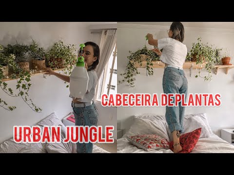 Urban jungle /